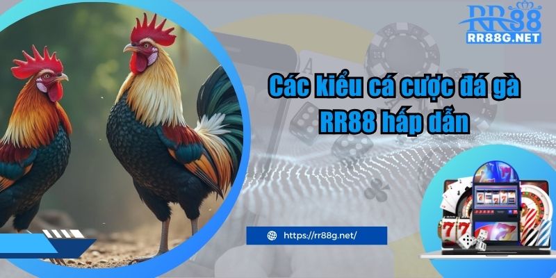 Các kiểu cá cược đá gà RR88 hấp dẫn