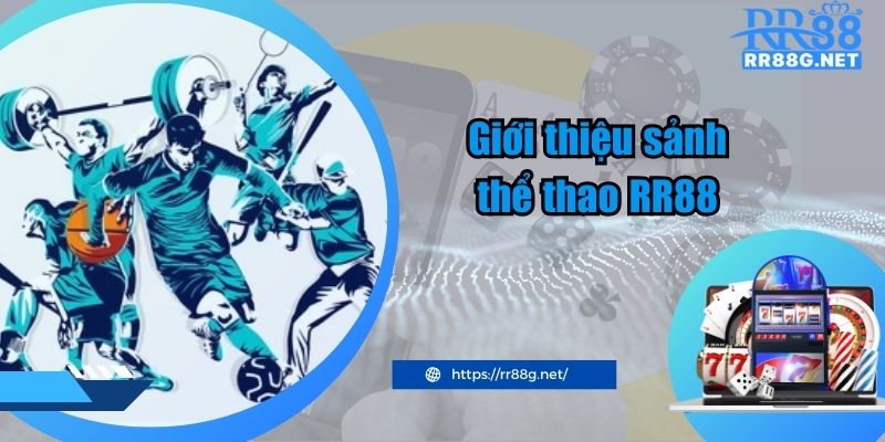 Giới thiệu sảnh thể thao RR88